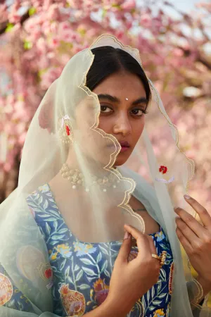 ANAR ORGANZA SILK DUPATTA