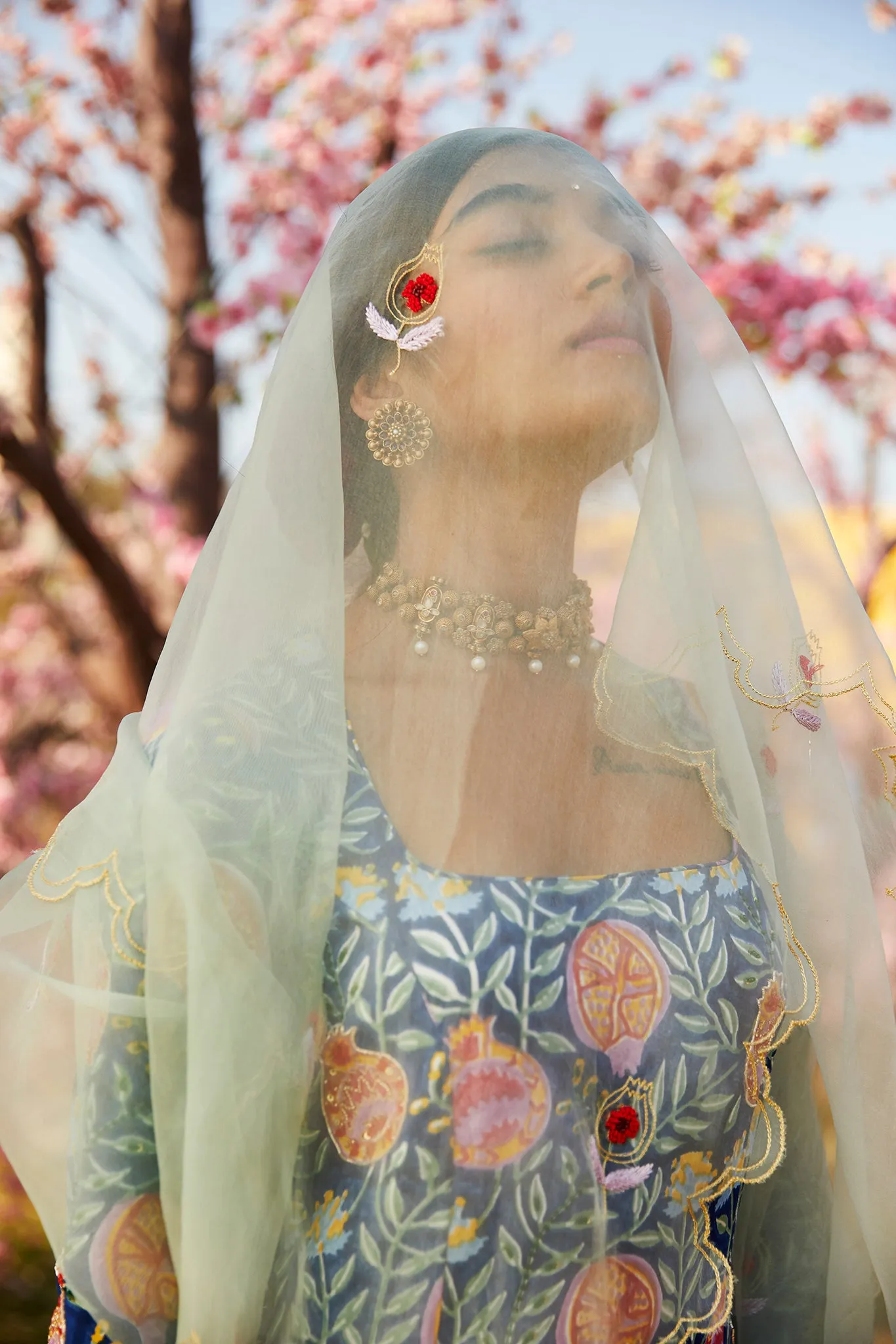 ANAR ORGANZA SILK DUPATTA