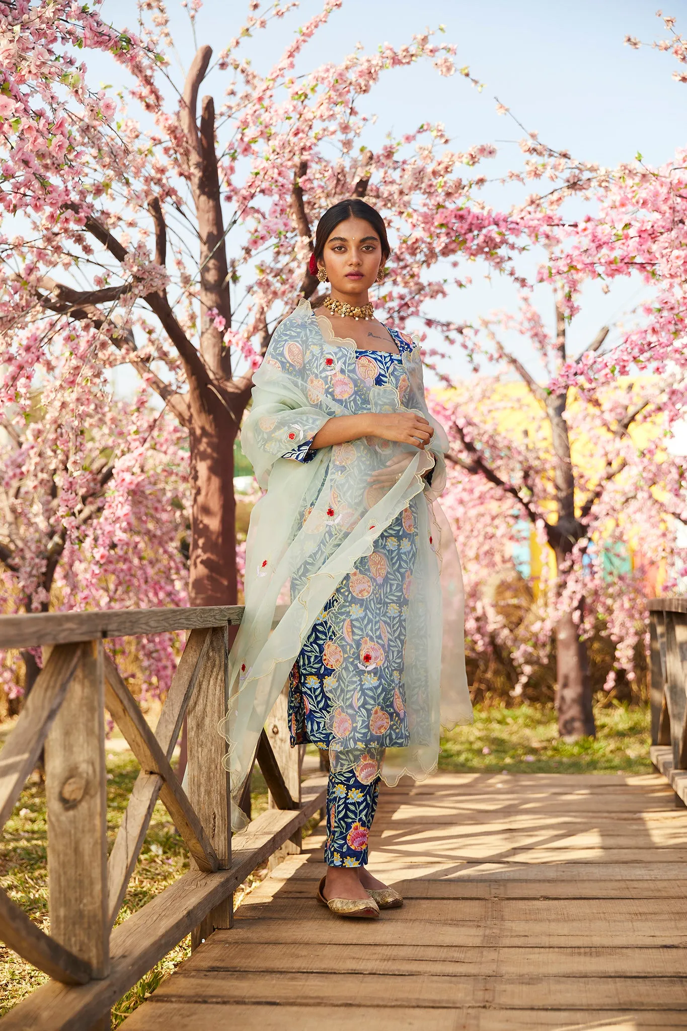 ANAR ORGANZA SILK DUPATTA