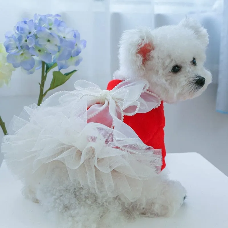DIVA Pet "Winter Baby" Tutu Pet Dress
