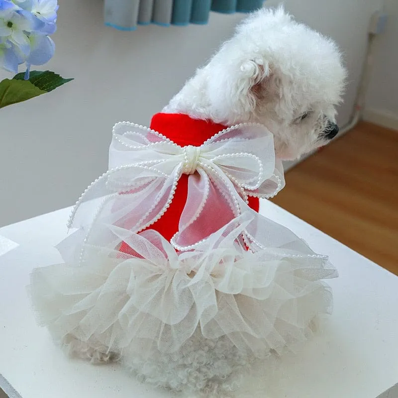 DIVA Pet "Winter Baby" Tutu Pet Dress
