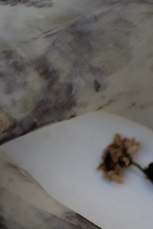 Mulya "Ayushi" Eco Printed Organza Yardage