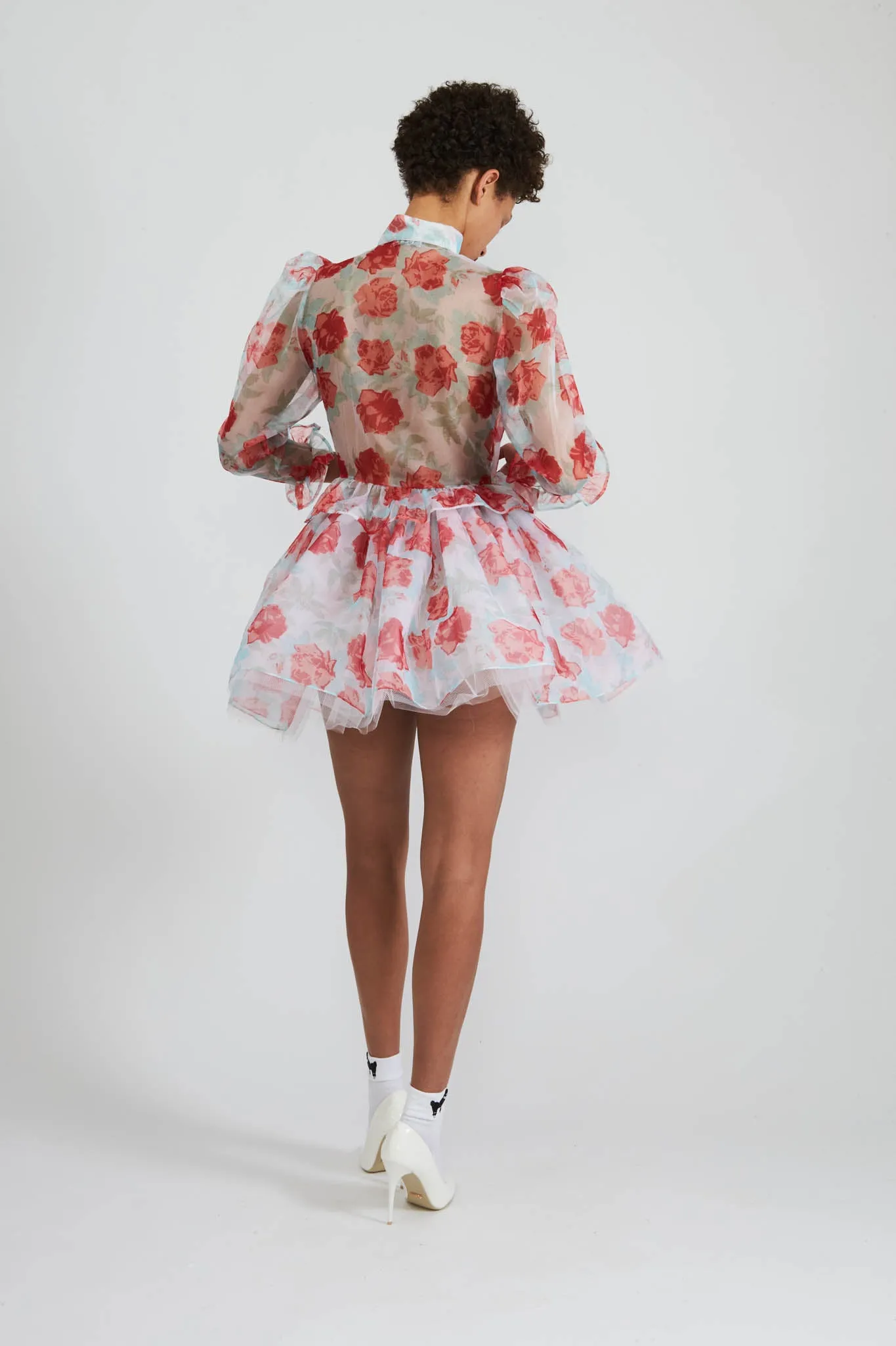 Tutu in Painted Rose Organza