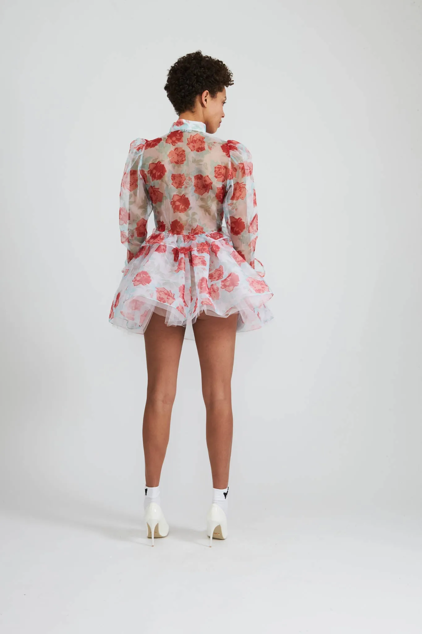 Tutu in Painted Rose Organza