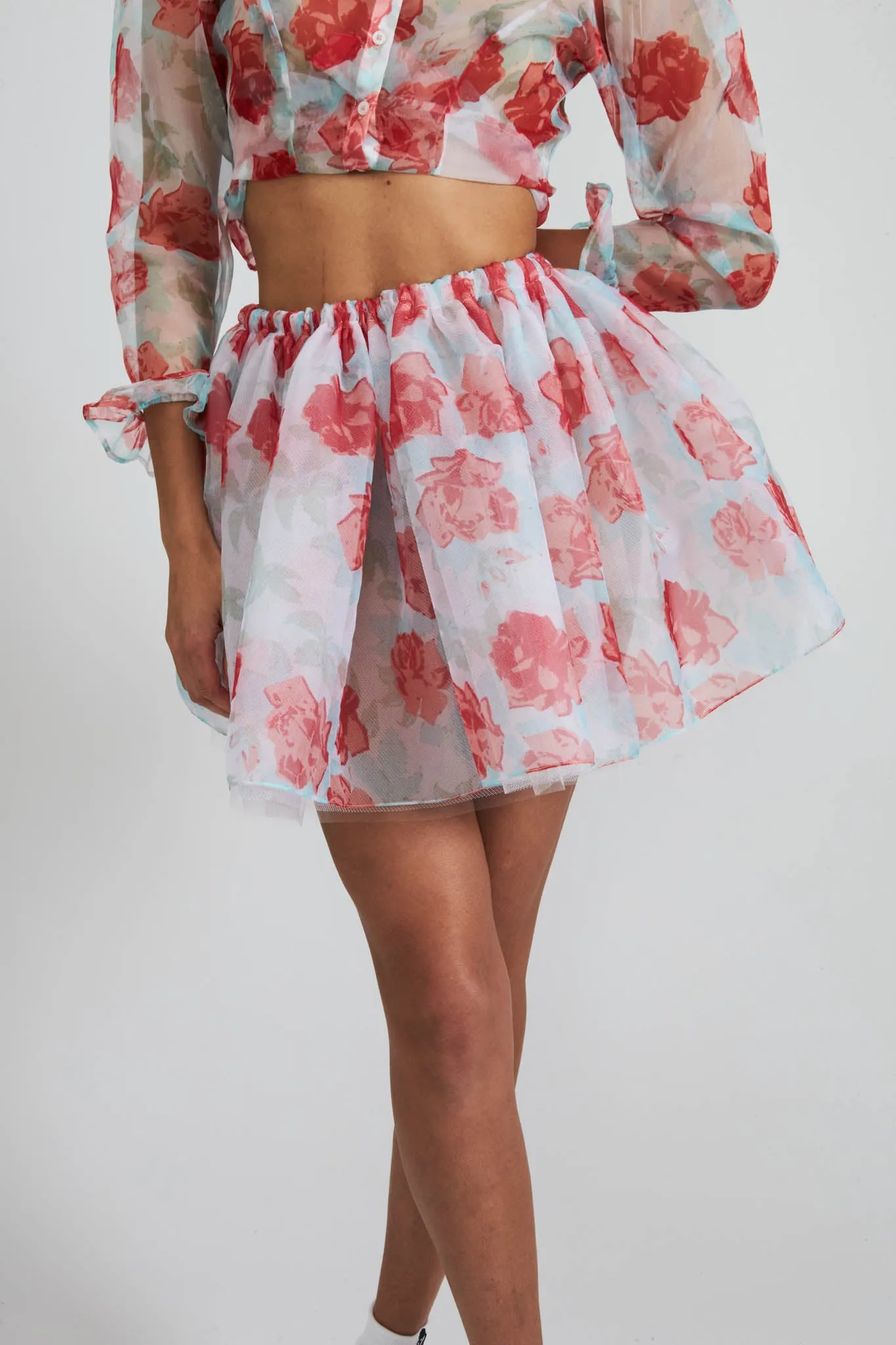 Tutu in Painted Rose Organza