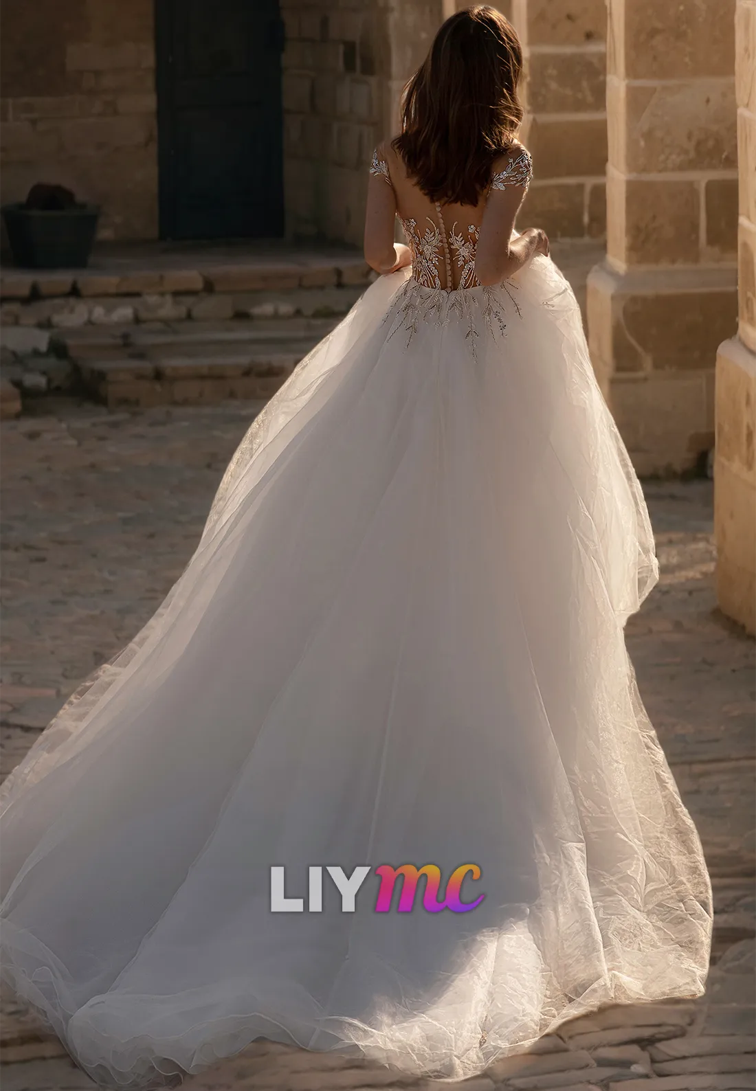 V-Neck Sleeves Appliques Tulle A-Line Ball Gown Wedding Dress